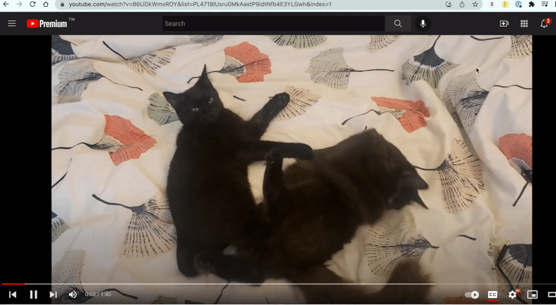 YouTube Sleep Timer Demo